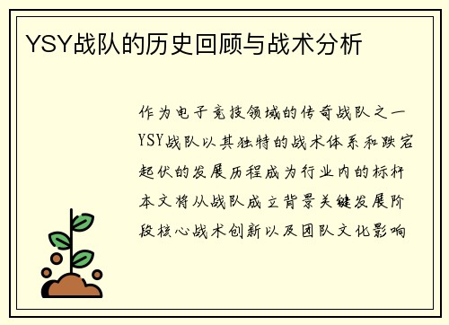 YSY战队的历史回顾与战术分析